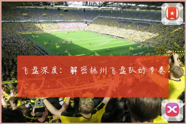 飞盘深度：解密杭州飞盘队的节奏