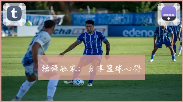 杨强独家：分享篮球心得