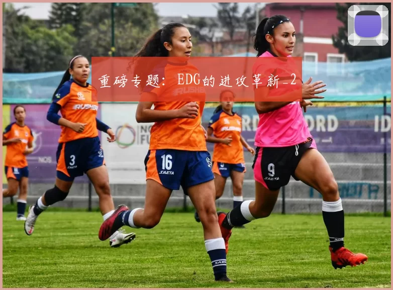 重磅专题：EDG的进攻革新_2