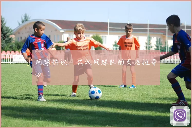 网球热议：武汉网球队的灵活性争议_1