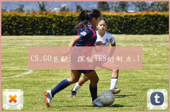 CS_GO巨献：探秘TES的耐力_1