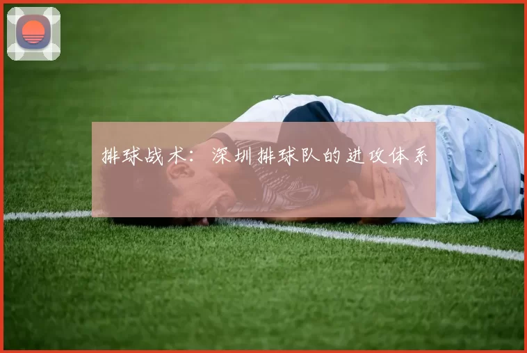 排球战术：深圳排球队的进攻体系