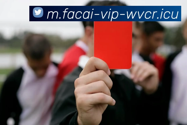 九游体育服务体系